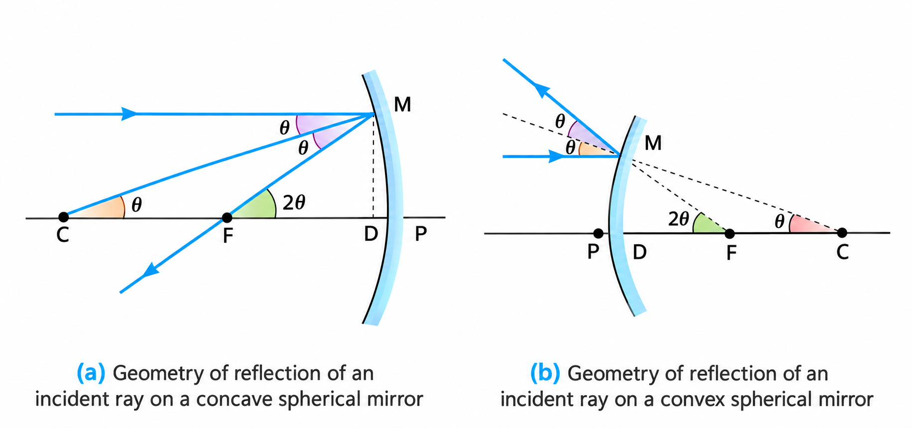 Figure 9.4: Geometry of reflection of an incident ray on (a) concave spherical mirror, and (b) convex spherical mirror.